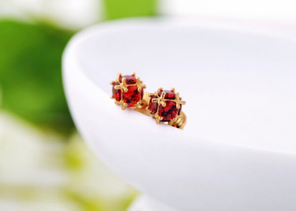 Crystal Austria Earings