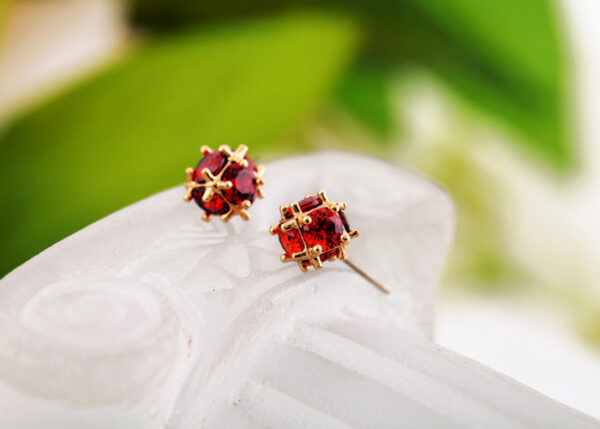 Crystal Austria Earings - Image 4
